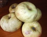 Foto del paso 1 de la receta: Conserva ecológica de manzanas al aroma de haba tonka