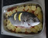 Foto del paso 6 de la receta: Sargo al horno con cama vegetal