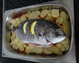 Foto del paso 6 de la receta: Sargo al horno con cama vegetal