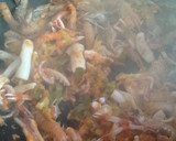 Foto del paso 11 de la receta: Fideuà de calamares y cigalas