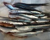 Foto del paso 1 de la receta: Anchoas del cantábrico, con pimientos del piquillo