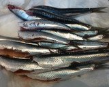 Foto del paso 1 de la receta: Anchoas del cantábrico, con pimientos del piquillo