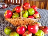 Dulce en barra de manzanas