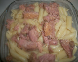 Foto del paso 1 de la receta: Macarrones gratinados con atún al curry