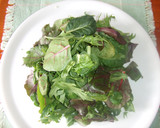 Foto del paso 1 de la receta: Ensalada de hojas variadas y delicias de queso de cabra