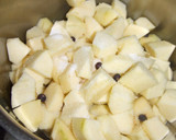 Foto del paso 2 de la receta: Compota de manzanas y peras con canela y anís