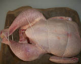 Foto del paso 1 de la receta: Pollo asado con mantequilla