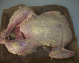 Foto del paso 2 de la receta: Pollo asado con mantequilla