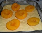 Foto del paso 2 de la receta: Torta con melocotones