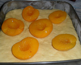 Foto del paso 2 de la receta: Torta con melocotones