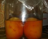 Foto del paso 6 de la receta: Licor de naranjas