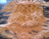 Foto del paso 2 de la receta: Bizcochitos de grasa