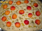 Focaccia con albaricoques