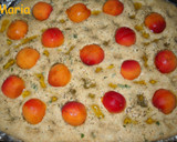 Foto del paso 5 de la receta: Focaccia con albaricoques