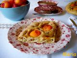 Focaccia con albaricoques