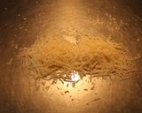 Foto del paso 10 de la receta: Revuelto horneado