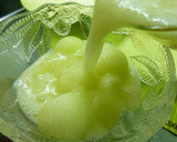 Foto del paso 1 de la receta: Postre de sopa de melon con láminas de coco