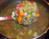 Foto del paso 2 de la receta: Puré de lentejas con vegetales