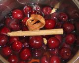 Foto del paso 2 de la receta: Cerezas en almíbar de Oporto a la canela