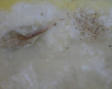 Foto del paso 5 de la receta: Almejas a la marinera estilo Coruña