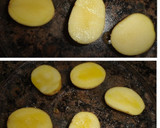 Foto del paso 1 de la receta: Patatas con alioli