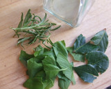Foto del paso 1 de la receta: Aceite de oliva con hierbas y bayas