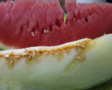 Foto del paso 1 de la receta: Fruta natural, chocolate y avellanas