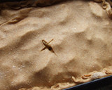 Foto del paso 7 de la receta: Empanada gallega de manzana