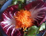 Foto del paso 2 de la receta: Ensalada de radicchio, aguacate y zanahorias