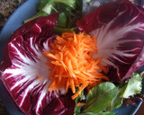 Foto del paso 2 de la receta: Ensalada de radicchio, aguacate y zanahorias