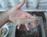 Foto del paso 1 de la receta: Galeras
