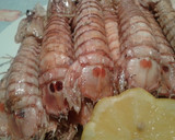 Foto del paso 3 de la receta: Galeras