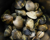 Foto del paso 1 de la receta: Almejas frescas a la marinera con vino blanco