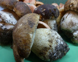 Foto del paso 2 de la receta: Revuelto de hongos variados
