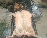 Foto del paso 2 de la receta: Lechón asado navideño