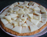 Foto del paso 6 de la receta: Tarta de melón y mermelada de albaricoque