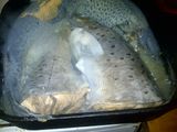 Ravioles de trucha a la puentes con sello en salsa de caviar