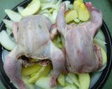 Foto del paso 3 de la receta: Pollos picantones asados con manzana