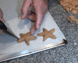 Foto del paso 6 de la receta: Polvorones o mantecados de almendra