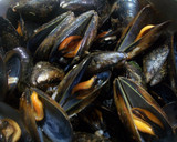 Foto del paso 2 de la receta: Mejillones gallegos picantes