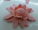 Foto del paso 8 de la receta: Hacer flores de fondant para tartas