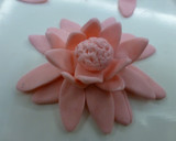 Foto del paso 8 de la receta: Hacer flores de fondant para tartas