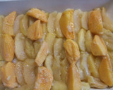 Foto del paso 6 de la receta: Manzanas y caquis al horno con sidra