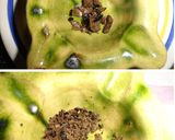 Foto del paso 2 de la receta: Espárragos trufados