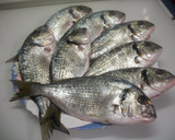 Foto del paso 1 de la receta: Filetes de dorada salvaje con setas y huevo