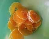 Foto del paso 1 de la receta: Naranjas con granada