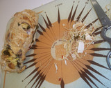 Foto del paso 13 de la receta: Pechuga de pollo rellena con salsa de vino
