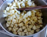 Foto del paso 6 de la receta: Tarta de manzana granulada casera