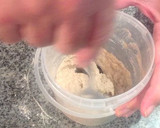 Foto del paso 3 de la receta: Masa madre con harina integral de centeno