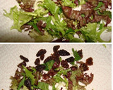 Foto del paso 1 de la receta: Tortilla de lechuga y uvas pasas